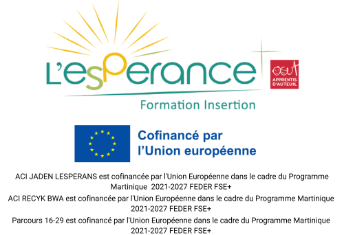 Logo EFI