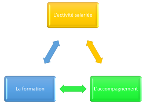 insertion professionnel martinique