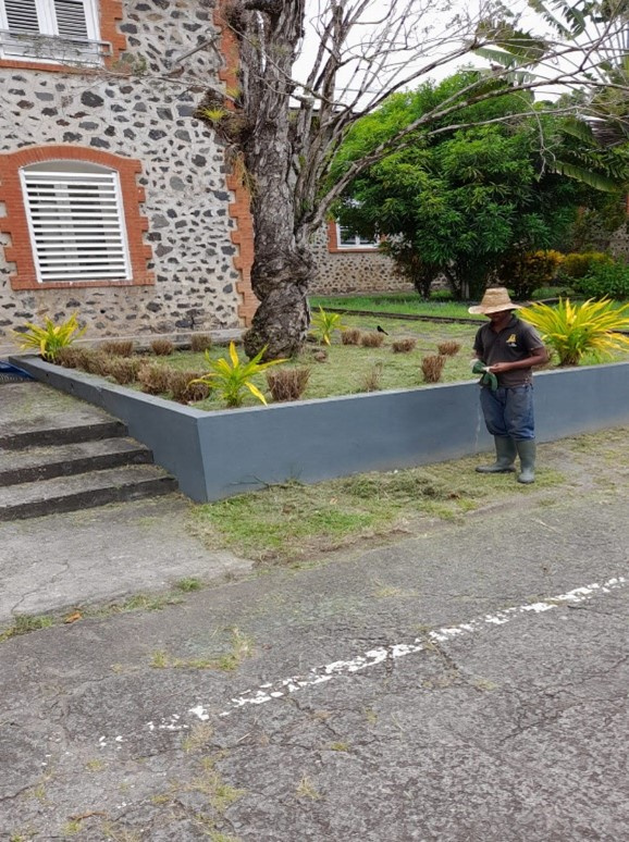 Image3